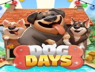 Dog Days game cover